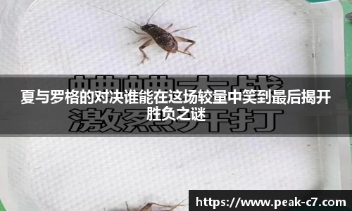 夏与罗格的对决谁能在这场较量中笑到最后揭开胜负之谜